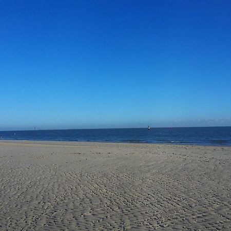 Private Logies Texel Woodart Midden-Eierland المظهر الخارجي الصورة