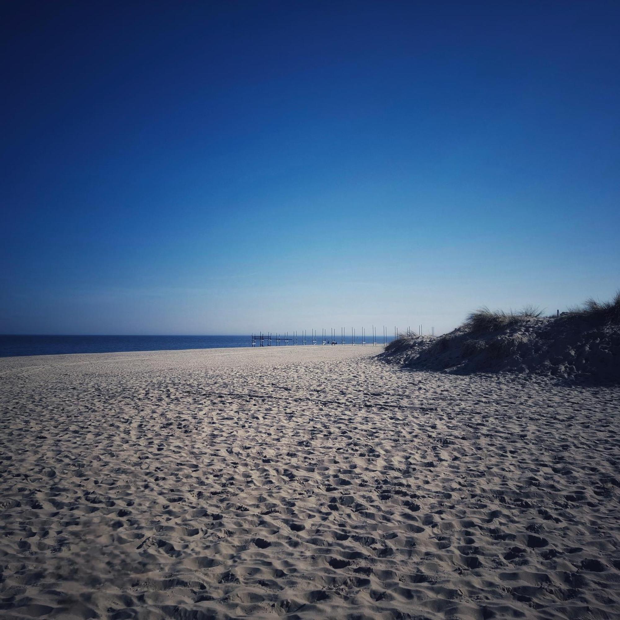Private Logies Texel Woodart Midden-Eierland المظهر الخارجي الصورة