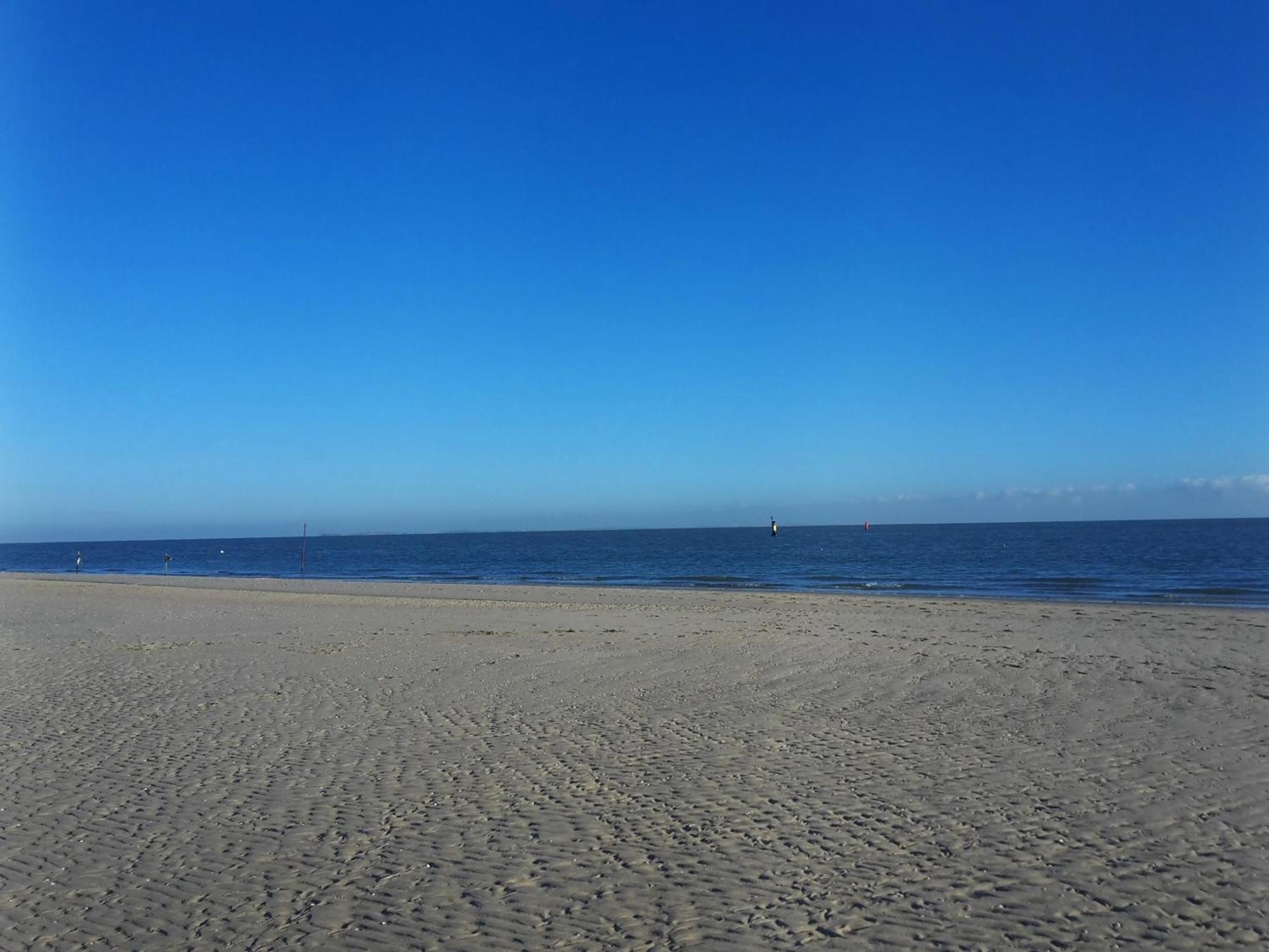 Private Logies Texel Woodart Midden-Eierland المظهر الخارجي الصورة