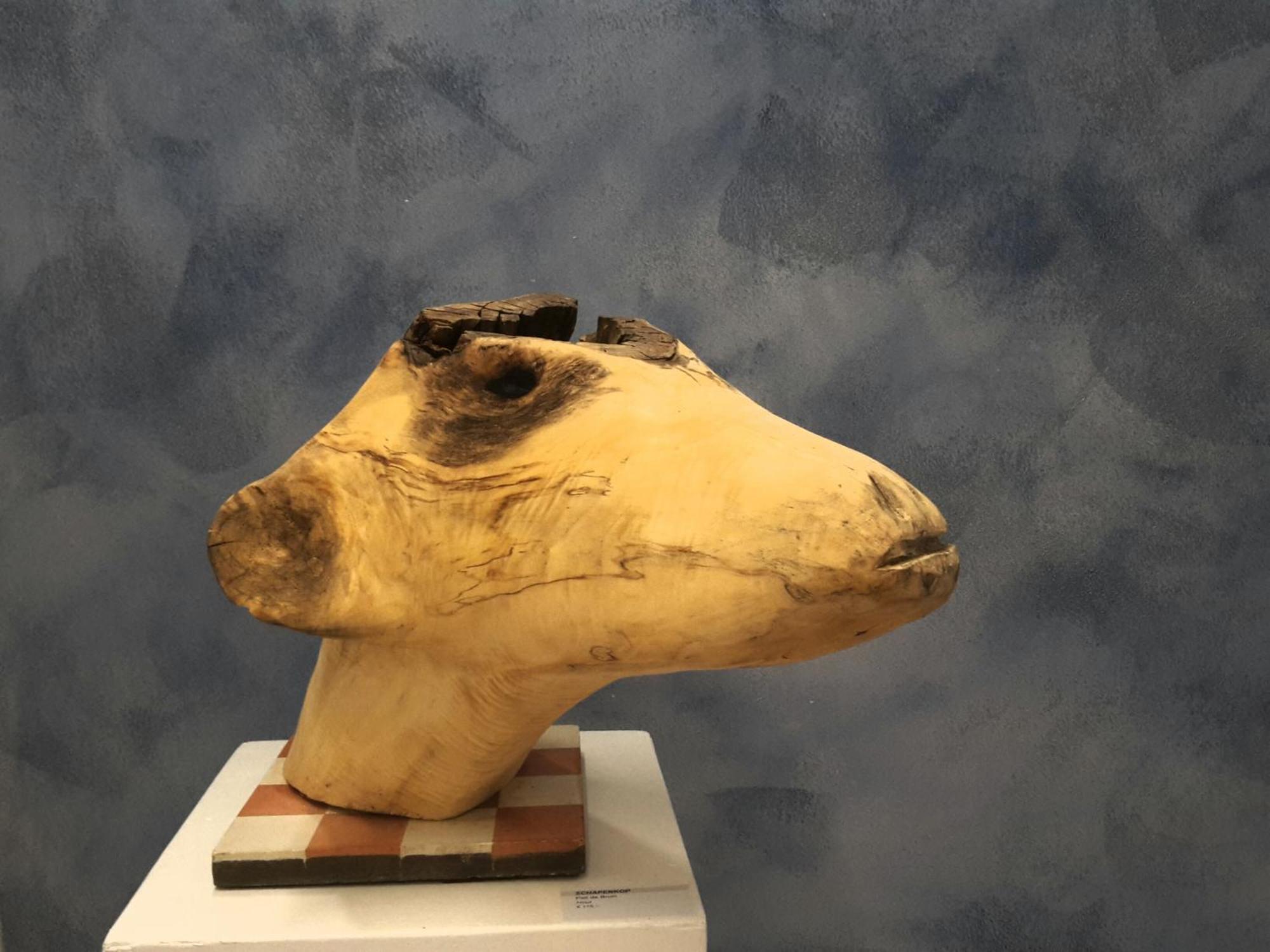 Private Logies Texel Woodart Midden-Eierland المظهر الخارجي الصورة